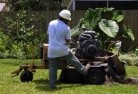 One Mile NSWstump-grinding-services-1.jpg; ?>