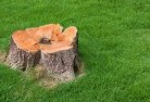 One Mile NSWstump-grinding-services-2.jpg; ?>