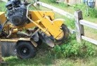 One Mile NSWstump-grinding-services-3.jpg; ?>